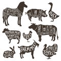 Farm Animals Silhouette Typographics Royalty Free Stock Photo