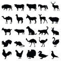 Farm animals silhouette vector on white backgorund Royalty Free Stock Photo