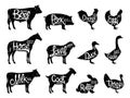 Farm Animals Silhouettes Collection. Butchery Labels Templates