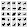 Farm animals 25 simple icons set Royalty Free Stock Photo