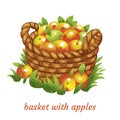 Vector brown basket with apples. Vector Illustration.