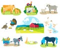 Farm animals vector illustration set, cartoon flat domestic animals collection with donkey with farmers wagon, goat