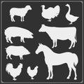 Farm animals vector silhouette set. Vector. Royalty Free Stock Photo