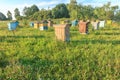 Farm apiary with multicolor beehouses Royalty Free Stock Photo