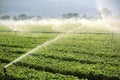 Farm background, irrigation system Royalty Free Stock Photo