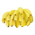 Farm bananas icon cartoon vector. Healthy dessert