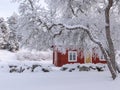 Farm barn and house surrounded by frosty trees Royalty Free Stock Photo