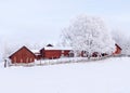 Farm barn and house surrounded by frosty trees Royalty Free Stock Photo