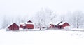 Farm barn surrounded by frosty trees Royalty Free Stock Photo