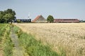 Farm, barns, windmill and wheat field