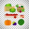 Farm baskets with vegetables and fruits Royalty Free Stock Photo