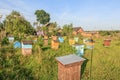 Farm bee-garden with multicolor beehouses Royalty Free Stock Photo