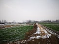 The farm being covered with snow