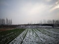 The farm being covered with snow