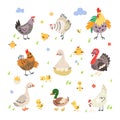 Farm birds cartoon set. Duck on nest, turkey and hen with yellow chickens. Cute agriculture bird, rooster and poultry Royalty Free Stock Photo