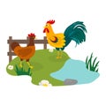 Farm birds family cartoon flat illustration. rooster hen chicken