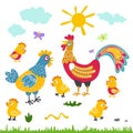 Farm birds family cartoon flat illustration. rooster hen chicken on white background Royalty Free Stock Photo