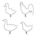 Farm birds line set vector illustration isolated on white. Royalty Free Stock Photo