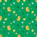 Farm birds seamless pattern. Cartoon print with funny little ducklings. Poultry yard inhabitants. Yellow chicks and