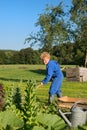 Farm Boy weeding vegetable garden