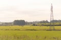 Farm and breeding area in the fields of the Pampa Biome in South America