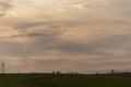 Farm and breeding area in the fields of the Pampa Biome in South America