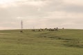 Farm and breeding area in the fields of the Pampa Biome in South America