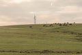 Farm and breeding area in the fields of the Pampa Biome in South America