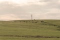 Farm and breeding area in the fields of the Pampa Biome in South America