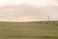 Farm and breeding area in the fields of the Pampa Biome in South America