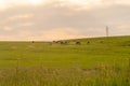 Farm and breeding area in the fields of the Pampa Biome in South America