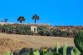 A farm building and field on the Mediterranean island of Gozo.