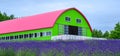 Farm building with lavender flower field