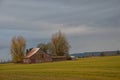 Farm Building, Mid-Willamette Valley, Oregon