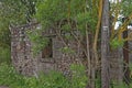 A Farm building ruin hidden amongst the Trees and undergrowth beside an old Farm Track near the town of Blairgowrie.