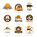 Farm and butcher shop icon set