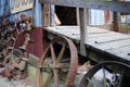 Farm Cat and Kittens with Old Vintage Farm Tractor Wheels