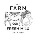 Farm cattle bull or cow. natural milk and meat. Different breeds of Farm domestic animal. Engraved hand drawn monochrome