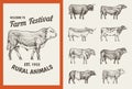 Farm cattle bulls and cows. Vintage cards. Different breeds of domestic animals. set of posters. Engraved hand drawn Royalty Free Stock Photo