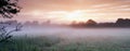 Farm, cereal plants and mist on field in morning, sunrise and wheat plant in sustainable environment. Countryside Royalty Free Stock Photo