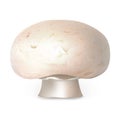 Farm champignon icon, realistic style