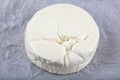 Farm cheese. Fresh brined cheese wheel isolated on white Royalty Free Stock Photo