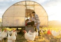 Farm, chicken and man and woman on agriculture field in the countryside for hen farming in summer. Poultry, farmer and Royalty Free Stock Photo