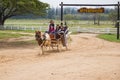 The `Farm Chokchai Camp ` Thailand, carriage ride around the farm