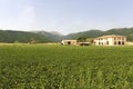 Farm at Colfiorito (Umbria)