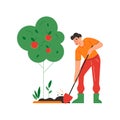 Digging Under Tree Composition Royalty Free Stock Photo