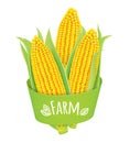 Farm corn