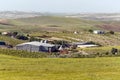 Farm with cornfield and vineyards