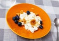 Farm cottage cheese filled with large amount of honey with walnut and blueberry. Royalty Free Stock Photo