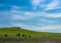 Farm countryside landscape green fields, Alentejo Royalty Free Stock Photo